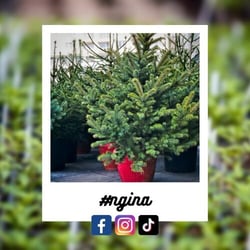 03aeddb2-2041-203e-789d-2df5e27e15de