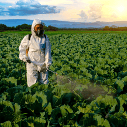 1-Jun-12-2024-06-55-49-6418-AM