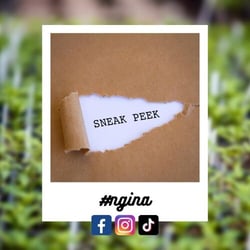 34439b86-42aa-84ff-a786-4a31d9d3a95e