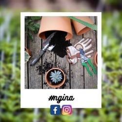 513d3ba9-70ad-a6ee-8b1e-373162627fbc