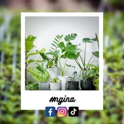 51a19da8-0175-49a3-72a3-d224cd447afd