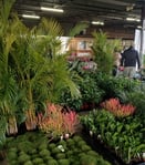 539181619_818014724080690_9142238062861371555_n (1)