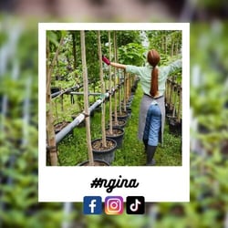 8be75779-7c47-f579-e0dd-226e007d4eb3