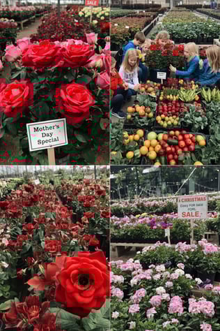 AI in  Greenlife - BLOG IMAGES