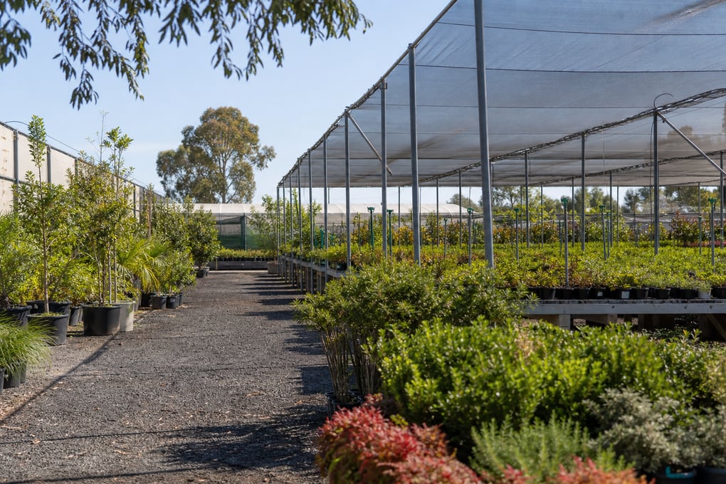 Australian Garden Nursery with Outdoor and Shade Cloth Areas