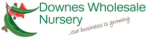 Downes Logo 2020_Downes Logo Downes Logo 2020_Downes Logo
