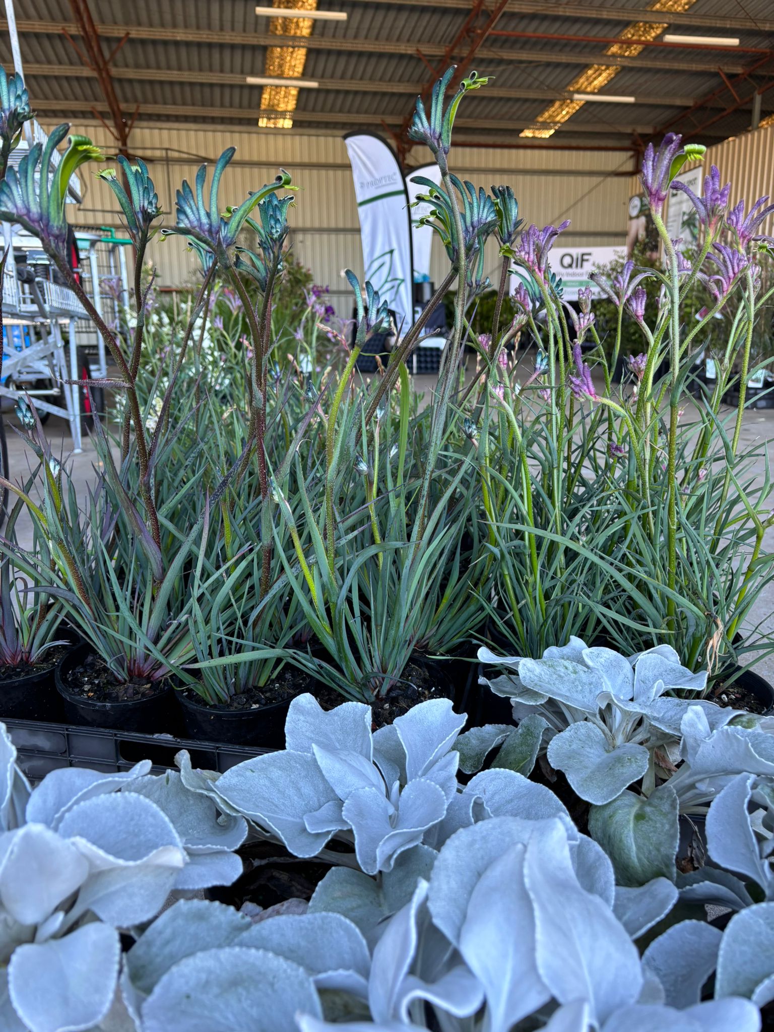 IMG-20250909-WA0030-1