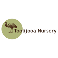 Job Ad - NGINA  (17)