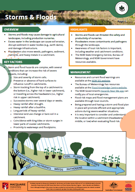 Screenshot 2025-03-07 142012