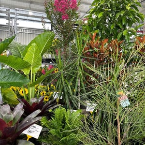 Sydney Trade Day Acces to premium stock