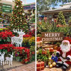 Untitled design (53)