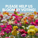 Vote for us square v1 (15)