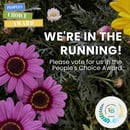 Vote for us v3 45 (4)