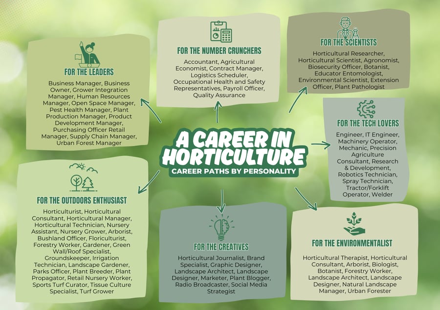 White and Pink Colorful Fun Page Border Document A4 Landscape