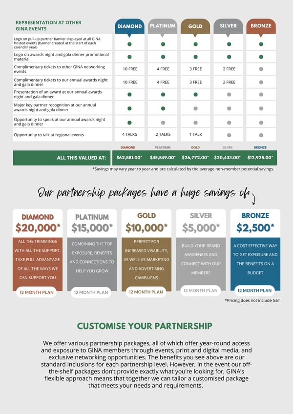 _NGINA Partner Benefits 2024 (2)