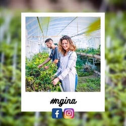 e86288dc-65f3-5e55-f4d3-d8f29706a90e