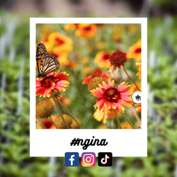 #ngina-Aug-28-2023-12-45-34-1694-AM