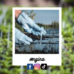 #ngina-Dec-04-2023-03-50-27-4655-AM