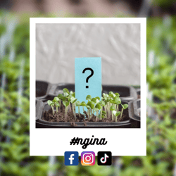 #ngina-Jul-18-2023-02-46-39-7438-AM