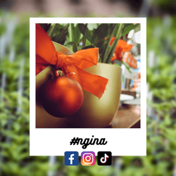 #ngina-Nov-19-2023-09-00-31-2677-AM