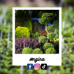 #ngina-Oct-23-2023-03-18-04-0726-AM