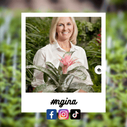 #ngina-Sep-12-2023-05-39-04-2212-AM