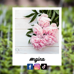 #ngina-Sep-24-2023-11-28-02-0994-AM