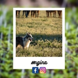 fe847450-89c6-c78a-7ab1-feaa2eedb291