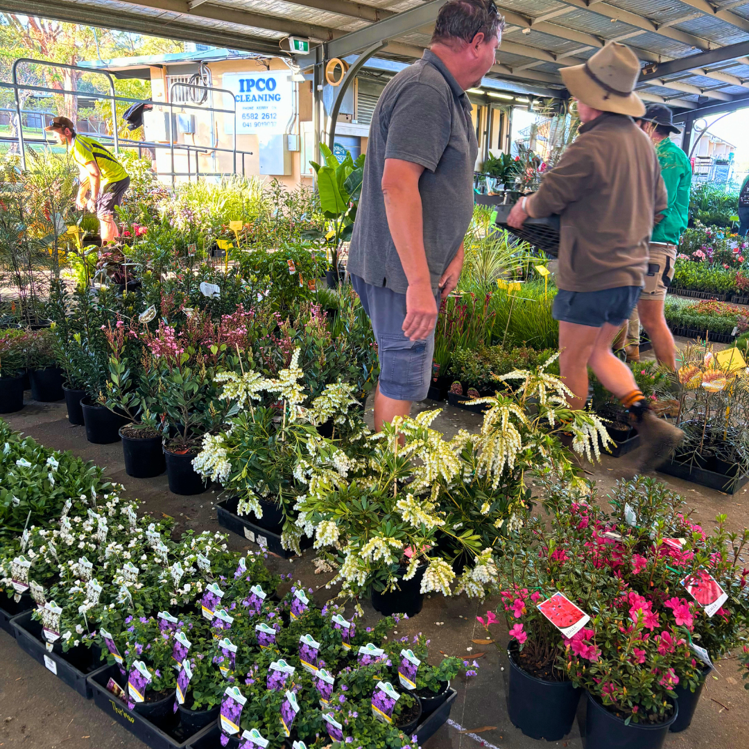 10-Mar-11-2025-03-54-38-6293-AM 10-Mar-11-2025-03-54-38-6293-AM