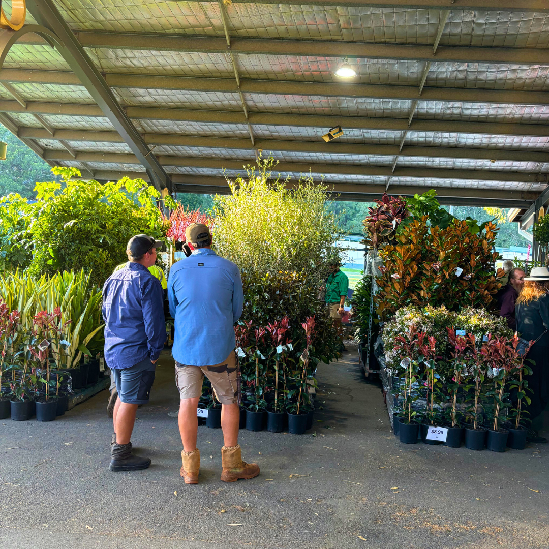 16-Mar-11-2025-03-54-37-5743-AM 16-Mar-11-2025-03-54-37-5743-AM