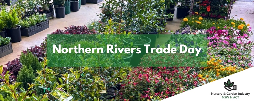 NGINA Website Banners