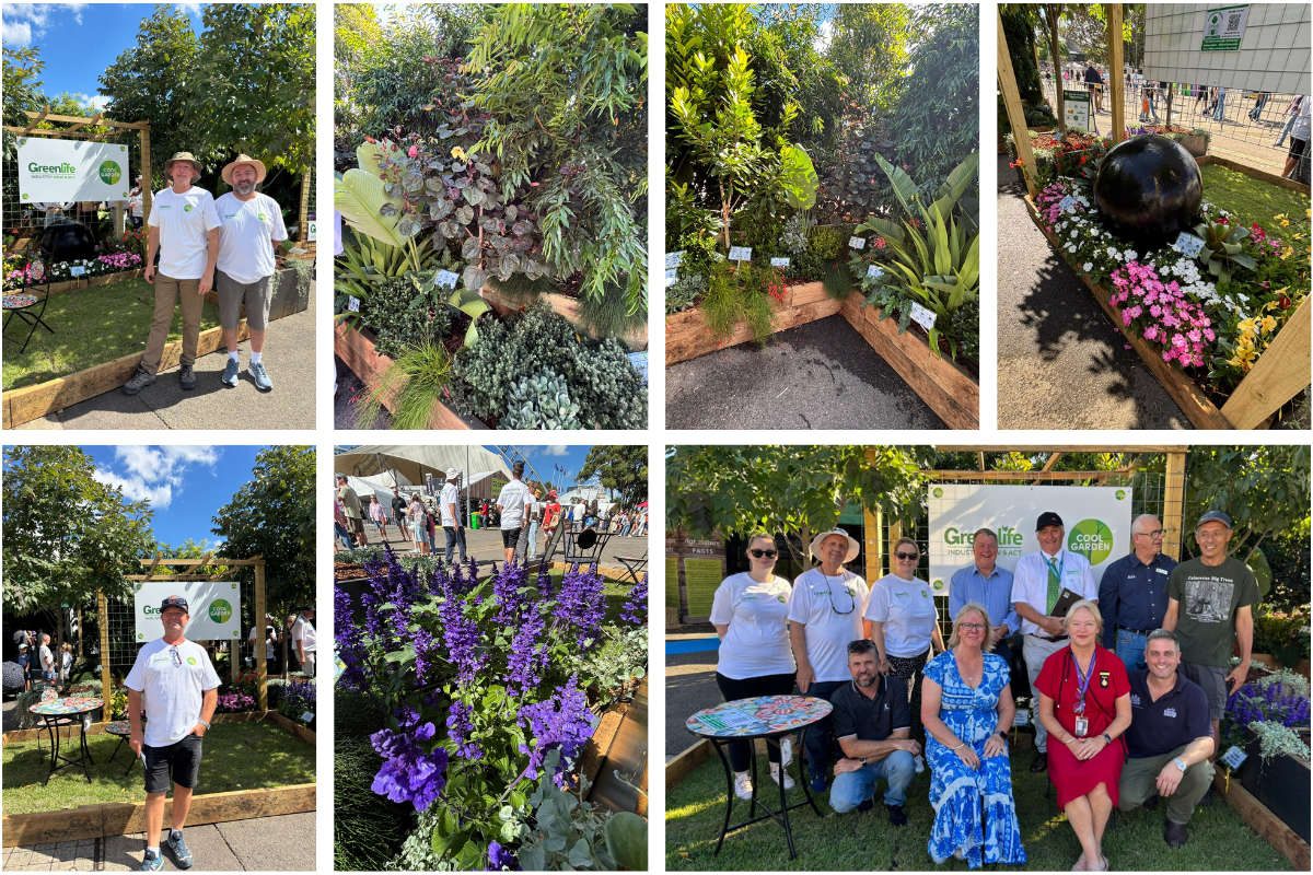 Cool Garden Web Page (2)