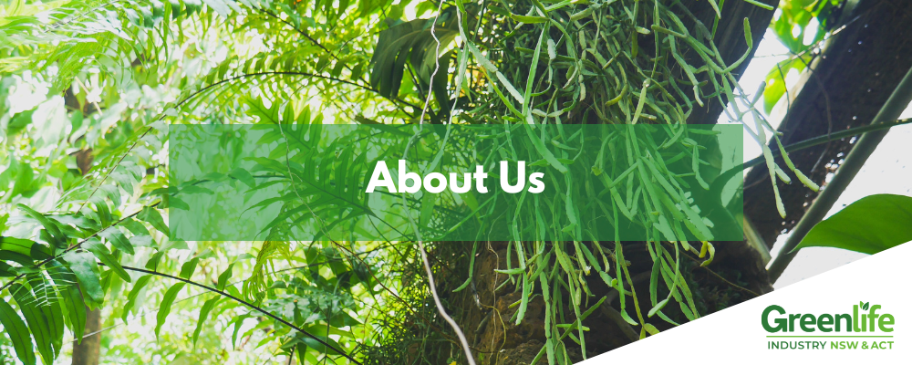 GINA Website Banners (1)