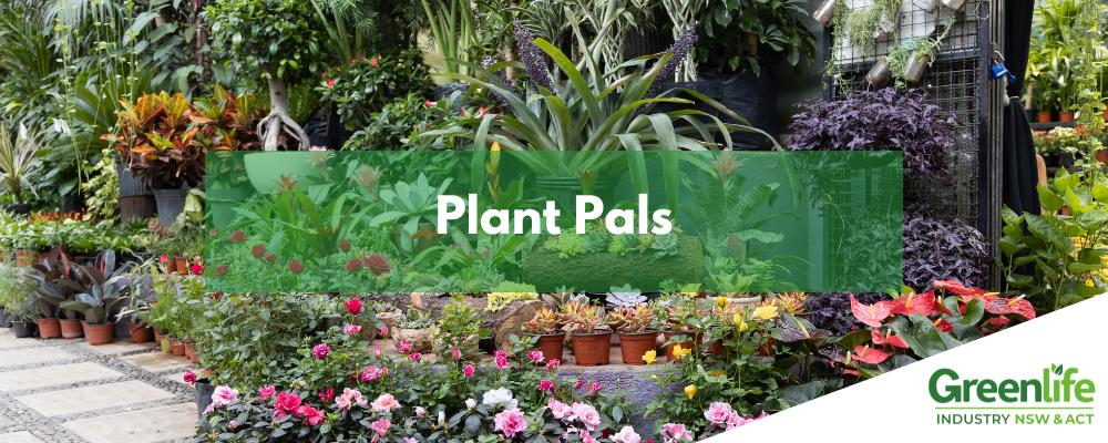 GINA Website Banners (18)