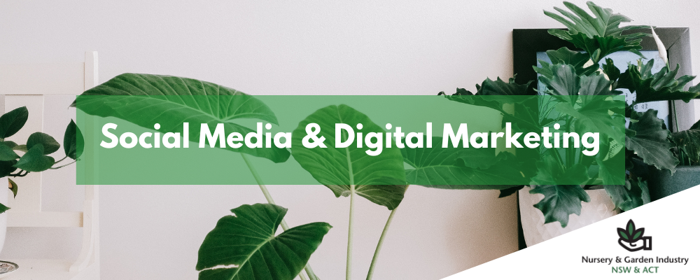 NGINA Website Banners (1)-2