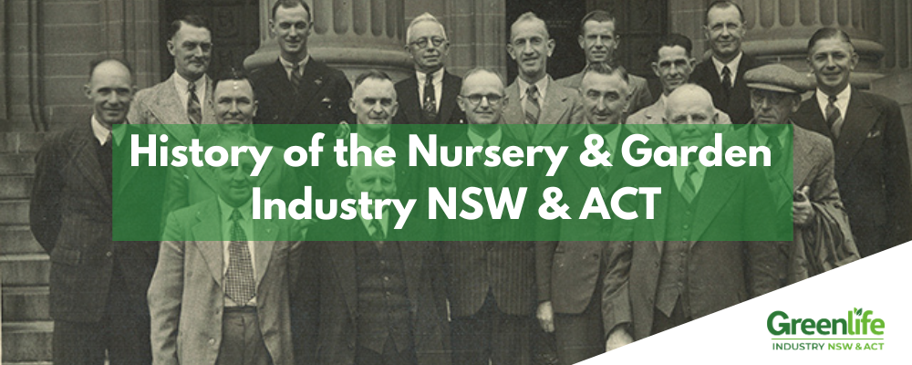 NGINA Website Banners (1)-3