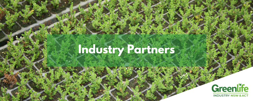 NGINA Website Banners (3)-1