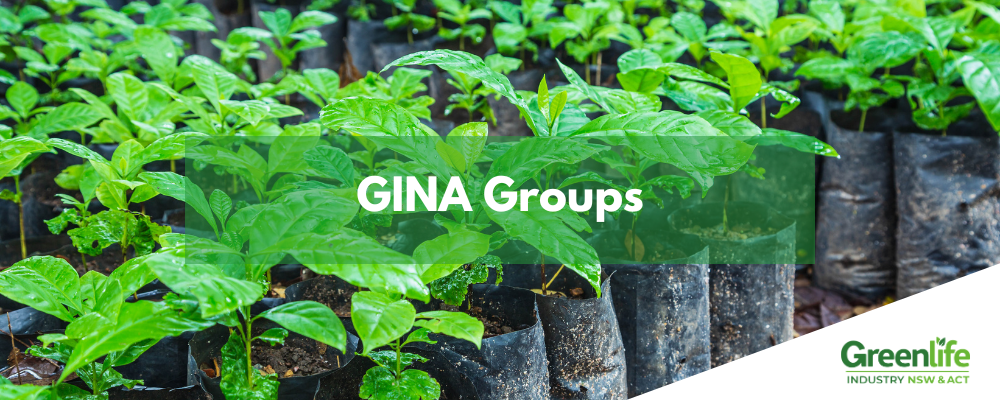 NGINA Website Banners (6)-1