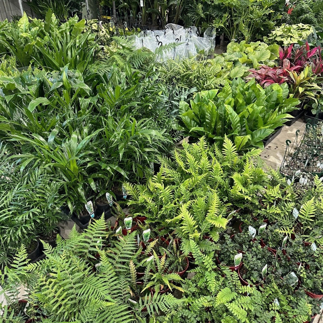 Sydney Trade Day Photos See what's new each month