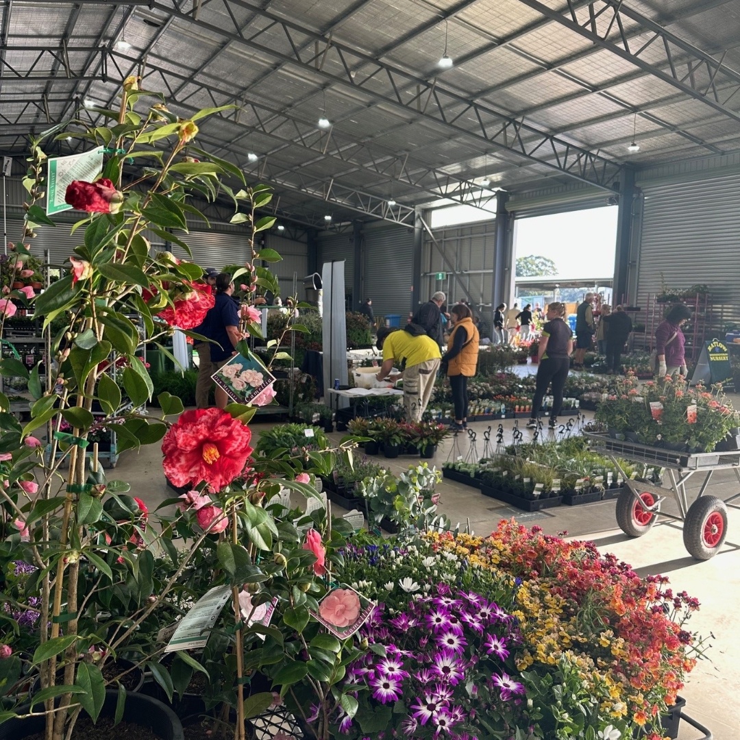 Sydney Trade Day Photos convinient purchasing