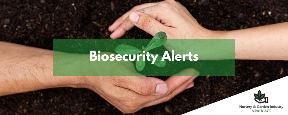 NGINA Banner-Jan-23-2024-10-51-29-4224-PM