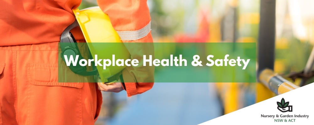 NGINA Website Banners-1